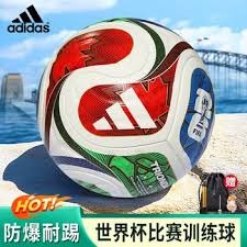 中超控股稳健财务状况无逾期担保风险